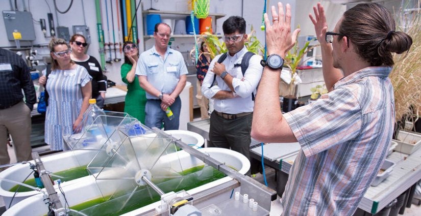 People gather around a basin containing green liquid in a laboratory while a person motions with their hands while presenting to the group.