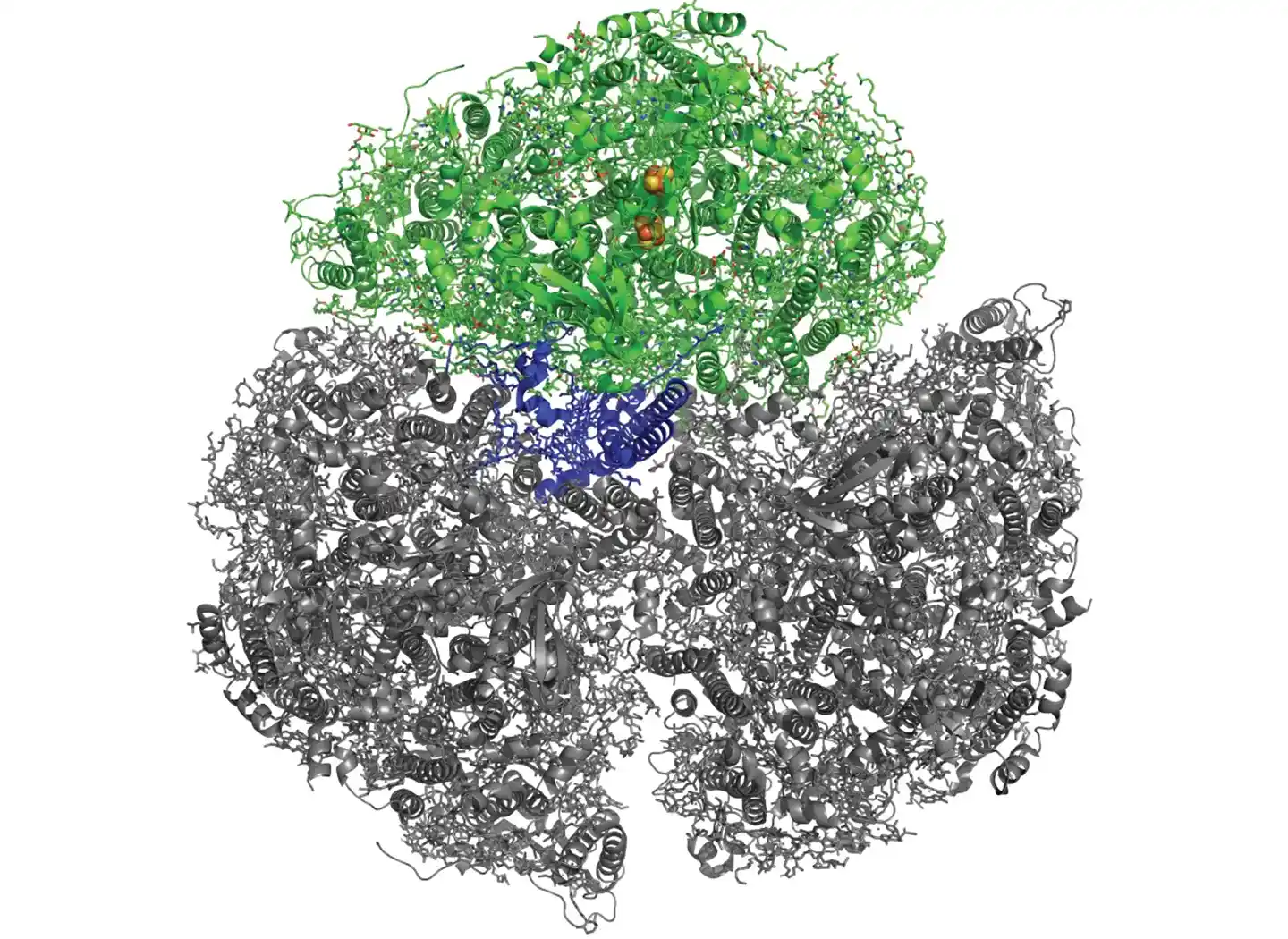Symmetrical protein structure showing one trimer unit in color.