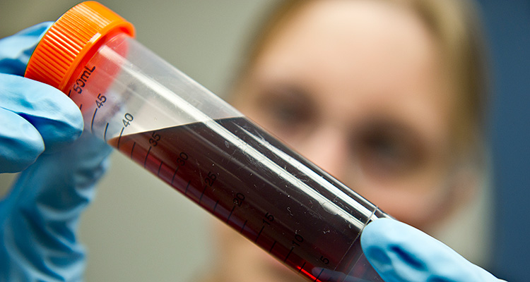 A scientist looking at a small tube of oil closely.