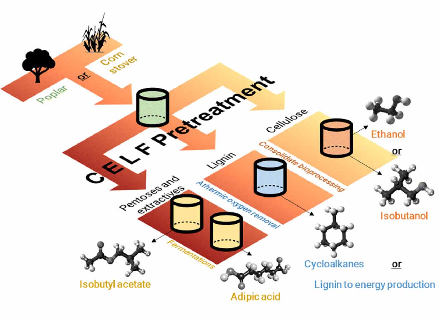 Diagram shows how the CELF pretreatment process works