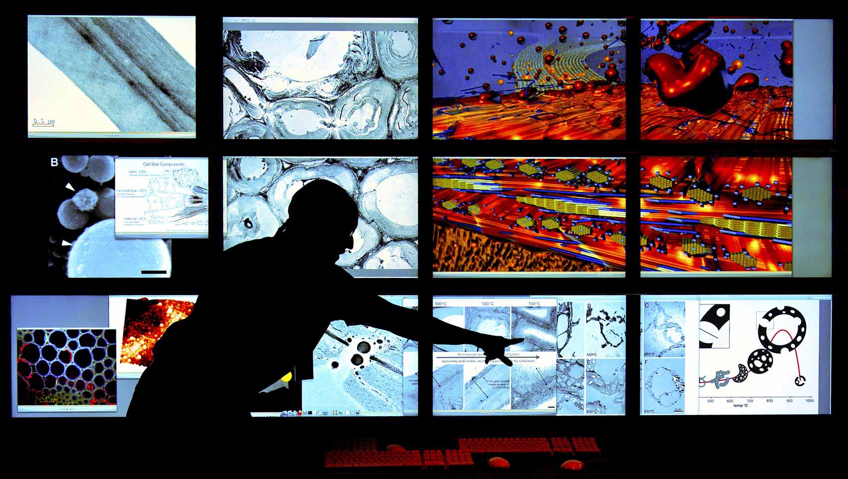 A researcher presenting a chemical bioimaging visualization