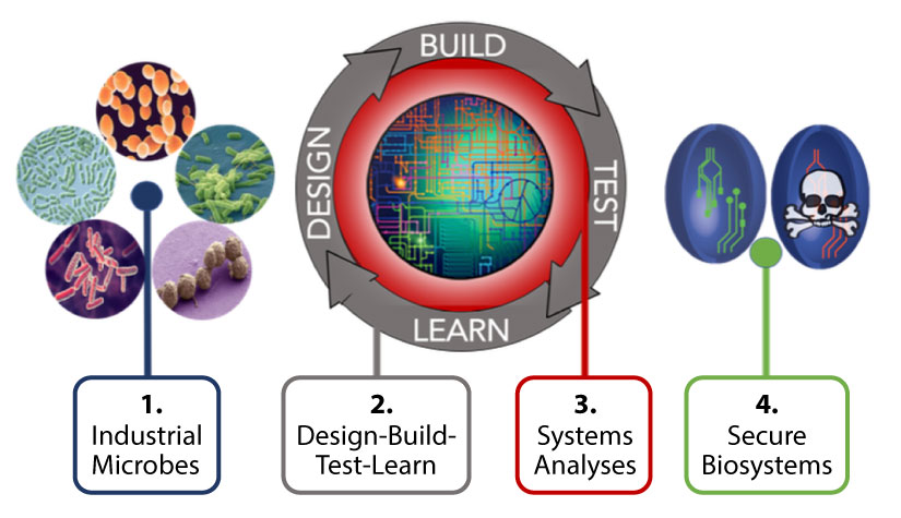 A circular flowchart that says Build, Test, Learn, Design, and below it: 1. Industrial Microbes, 2. Design-Build-Test-Learn, 3. Systems Analyses, 4. Secure Biosystems.