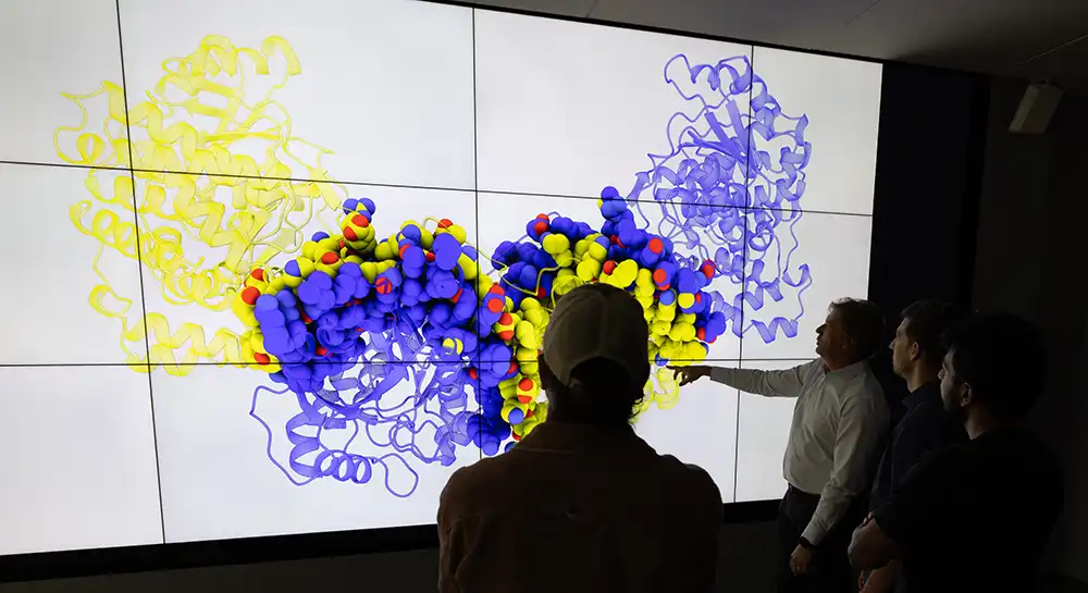 Four researchers examine a large visualization of an enzyme.