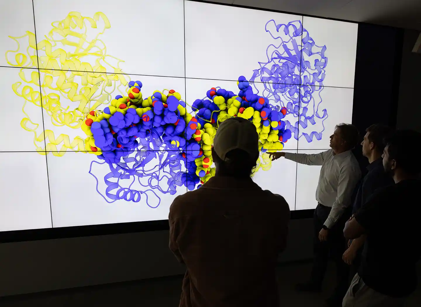 Four researchers examine a large visualization of an enzyme.