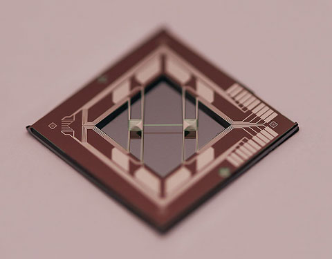 Photo of brown diamond-shaped structure with various light-colored circuit-like components along the edges.