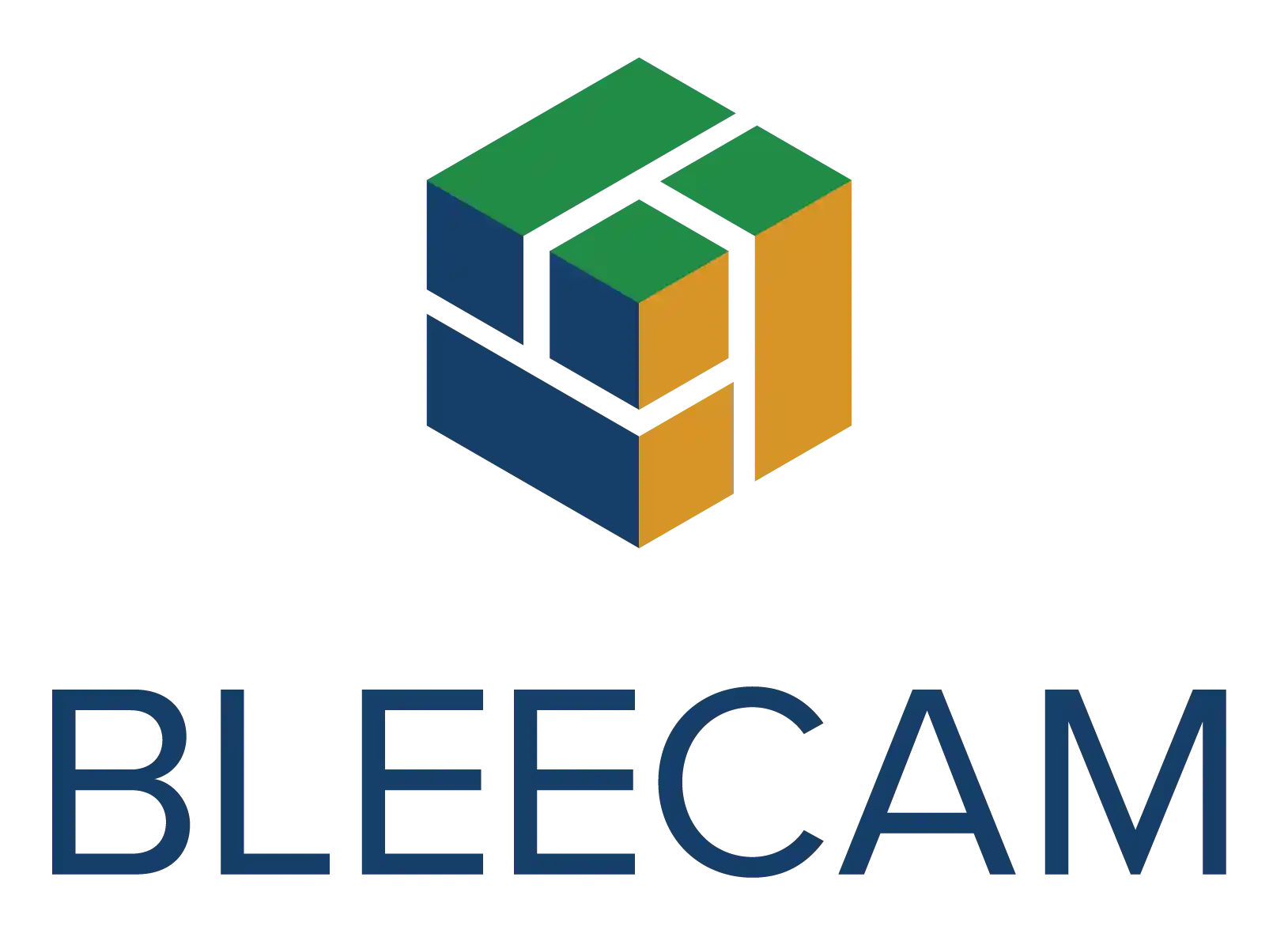 BLEECAM logo