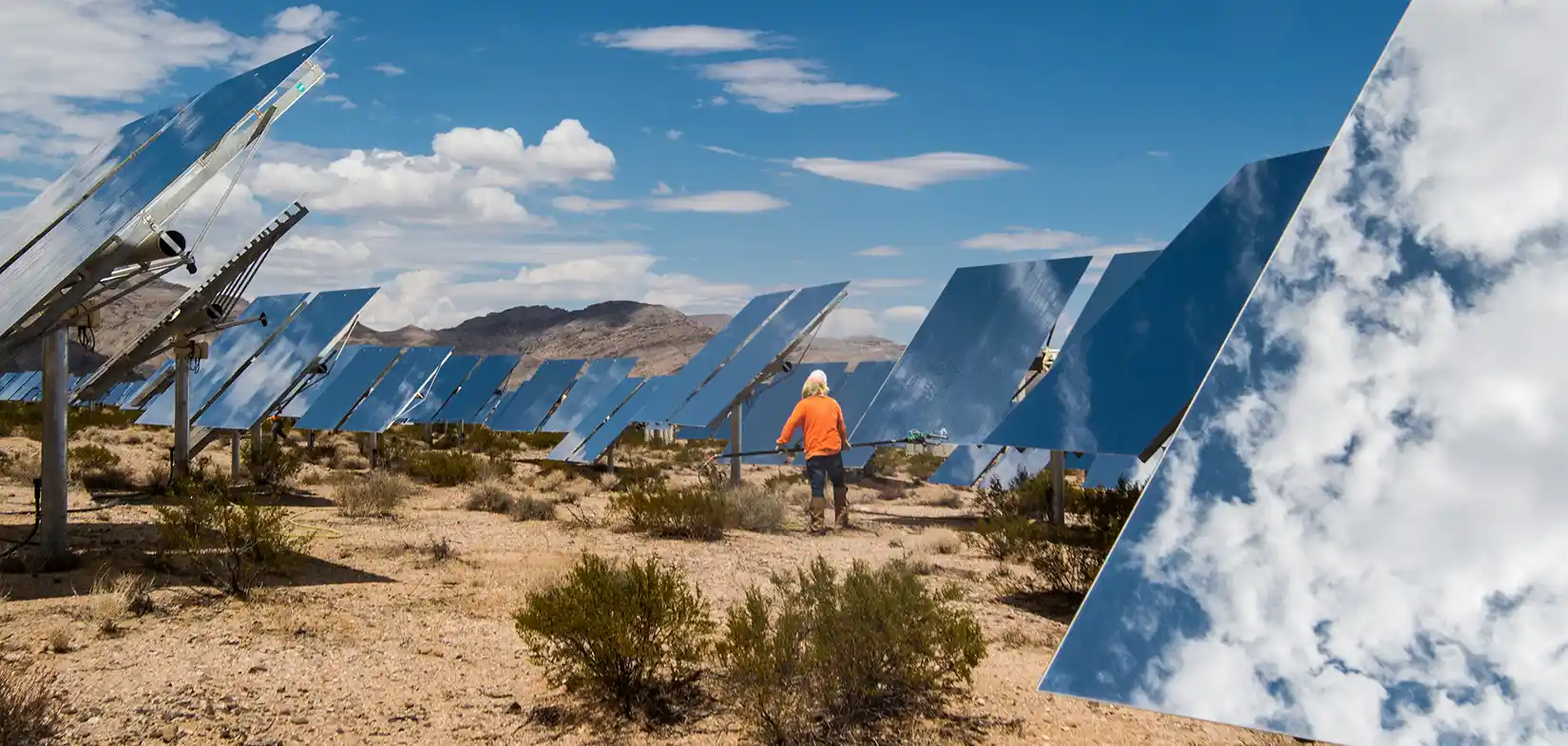 Heliostats at the Ivanpah Solar Project in California.