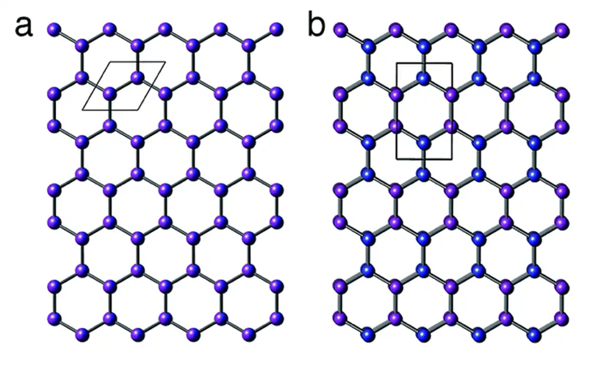 Cell structures labeled a and b.