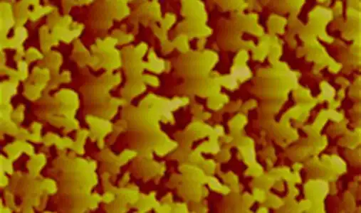 Microscope image of electrons