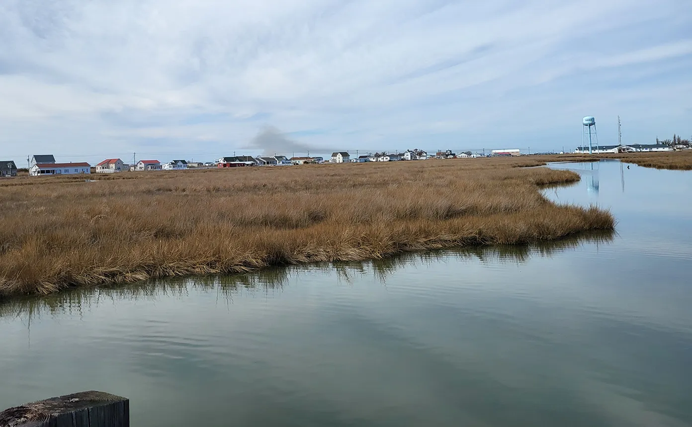 A coastal marsh with a water tower and houses in the background.