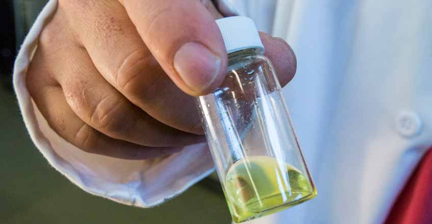 Continue reading about NREL Research Pushes Perovskites Closer to Market