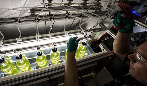 Continue reading about How NREL Is Fanning the Sparks of Innovation