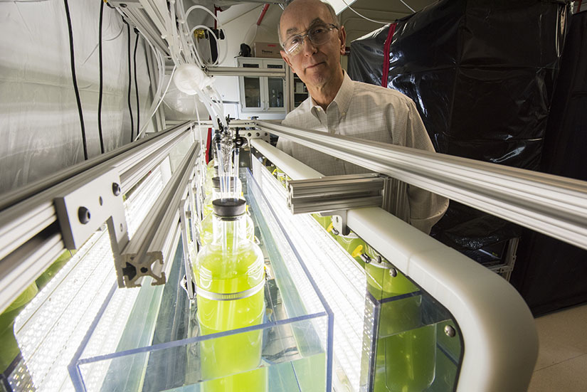 A researcher stands next to laboratory equipment