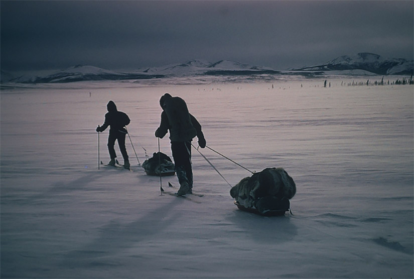 Two people on skis pull a sled in an Arctic environment