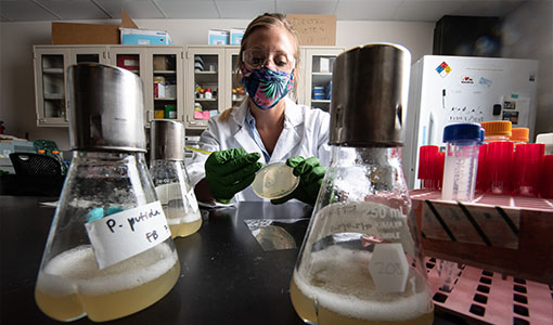 Continue reading about NREL Partnerships Transform Energy in Response to Global Needs