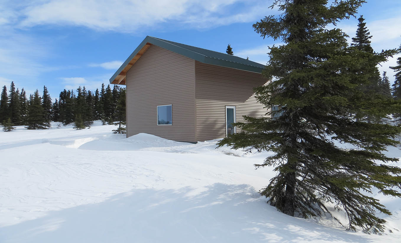 Photo of a house surrounded by snow and trees