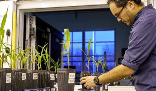 Continue reading about Billion Dollar Breakthrough: The Wells Fargo Innovation Incubator Reaches New Milestone