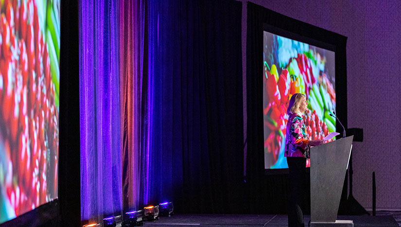 A person at a podium on a stage presents to an audience