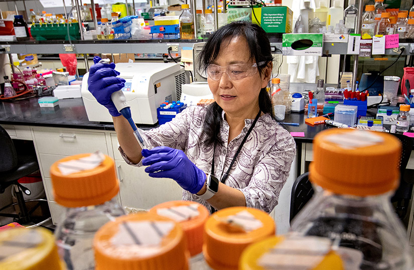 A woman conducts an experiment in a laboratory.
