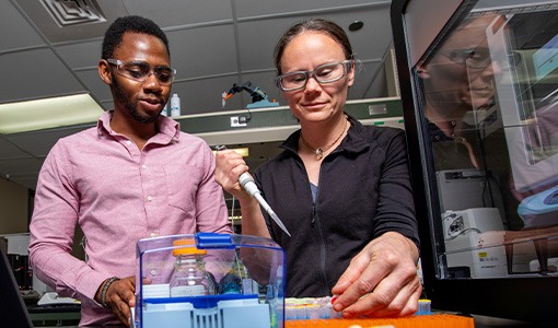 Continue reading about Scientists Discover Enzymes That Could Make It Cheaper To Recycle Waste Polyester Textiles and Bottles Than Making Them From Petroleum