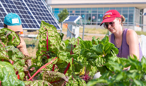 Continue reading about NREL Innovations Help Consumers Invest in Our Planet