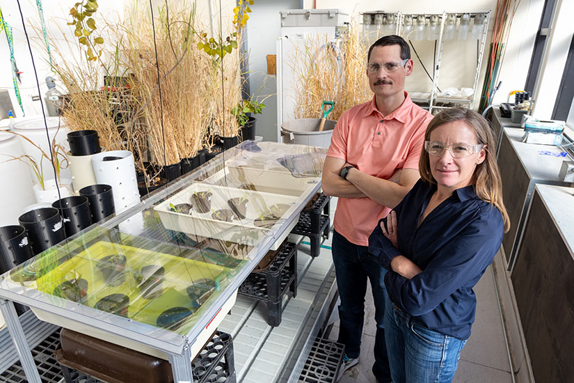 A man and a woman stand in a room where various plants are growing.