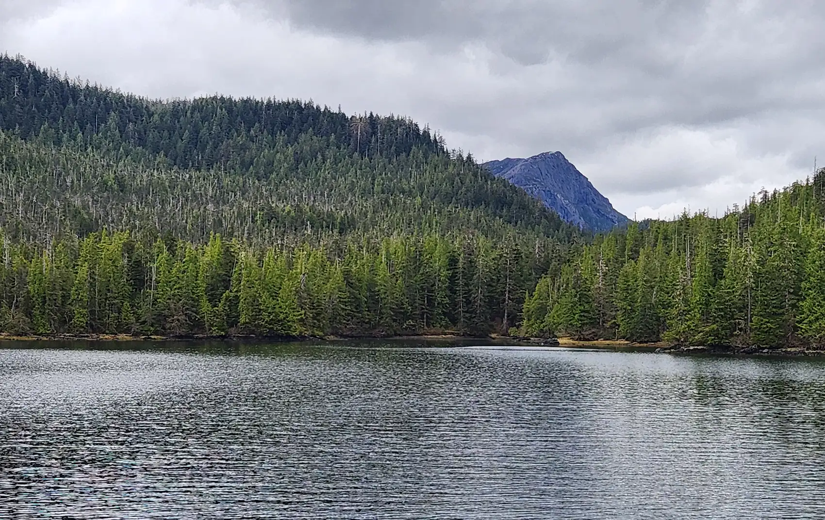 A body of water with tree-covered mountains in the background.