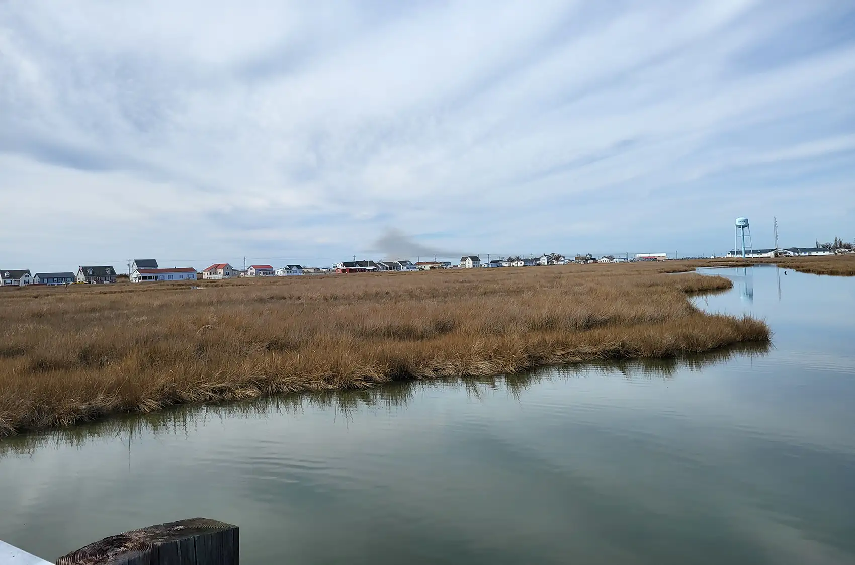 A coastal marsh with a water tower and houses in the background.