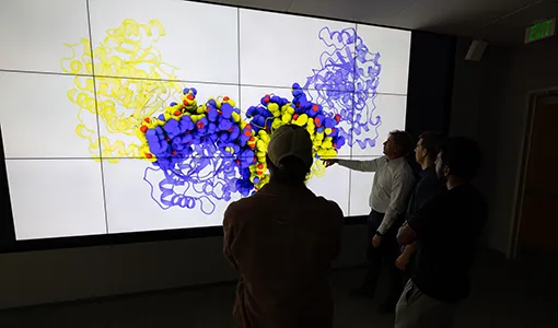 Continue reading about Four researchers examine a large visualization of an enzyme.