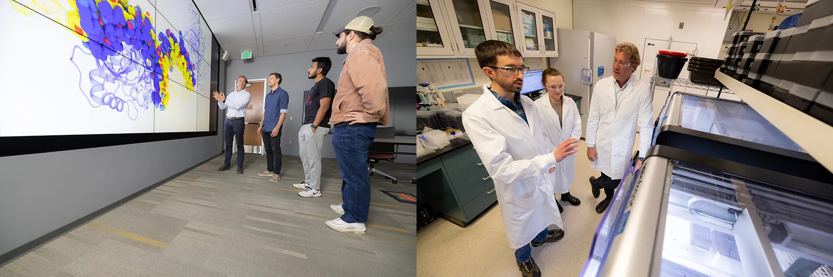 Researchers discuss enzyme structure and characterization.