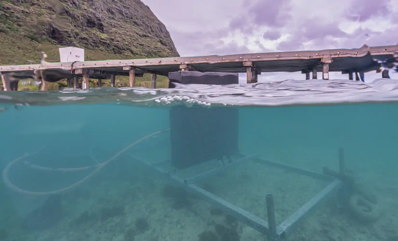 The SURF-WEC system assembled and working beneath the ocean's surface