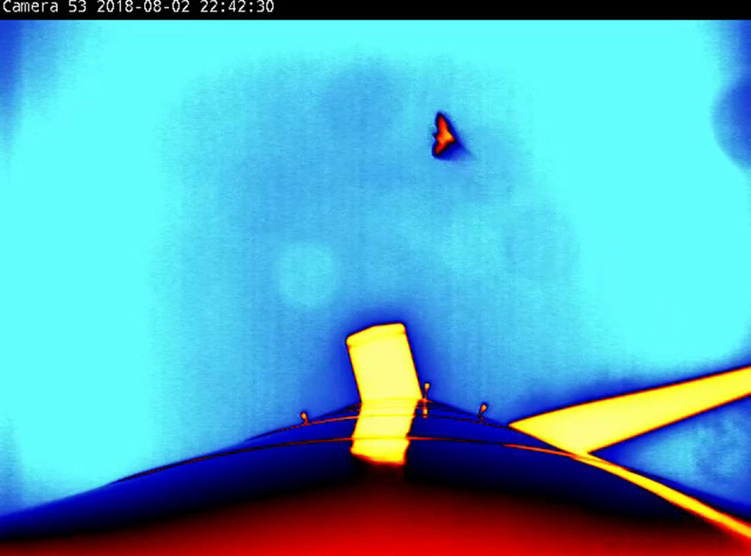 A colored silhouette of a bat in flight in the sky next to the colored shape of a wind turbine as viewed from the base of the tower. 