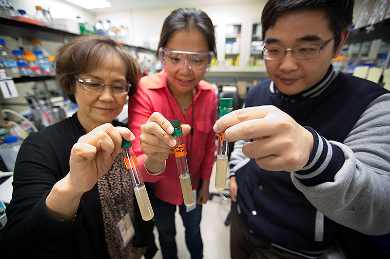 Three people hold test tubes containing a milky substance