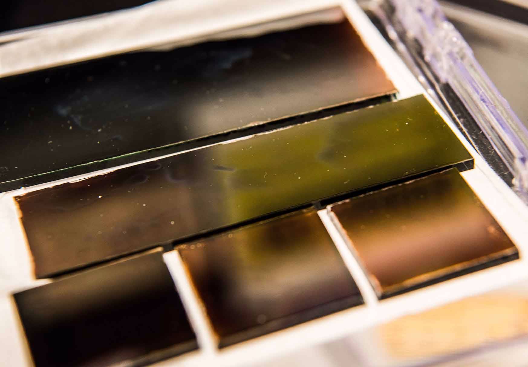 Photo shows a row of solar cells grown using a new perovskite ink.