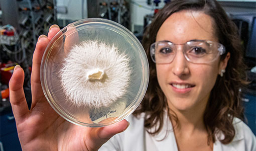 Continue reading about News Release: Groundbreaking Research into White-Rot Fungi Proves Its Value in Carbon Sequestration from Lignin