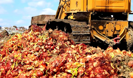 Continue reading about News Release: What To Do With Food Waste? Well, That Depends