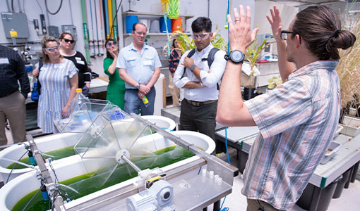 Continue reading about News Release: NREL Names 2024 Executive Energy Leadership Program Participants