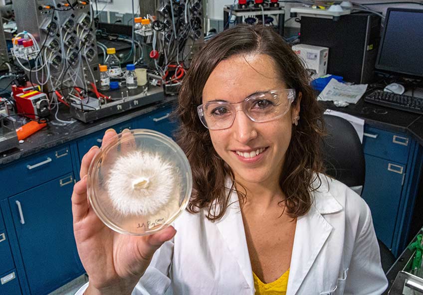 Continue reading about The Role Fungi Will Play in NREL's Biomass Research
