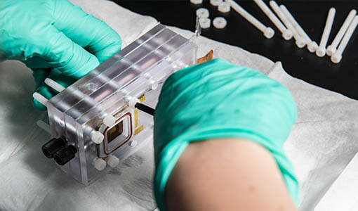Continue reading about Lowering Atmospheric CO2 in Large-Scale Renewable Energy Electrochemical Process