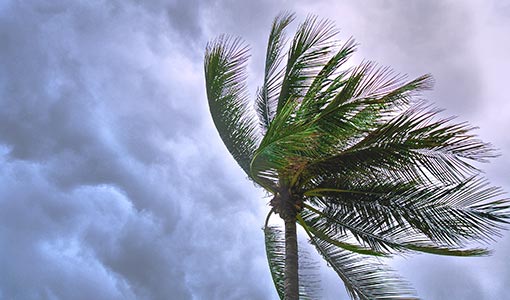 Continue reading about Tracking Tomorrow's Category 5: Marine Renewable Energy Turns the Tide