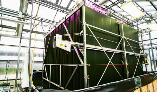 Continue reading about NREL Researchers Set Sights on Commercializing Biotechnologies with Industry Partners