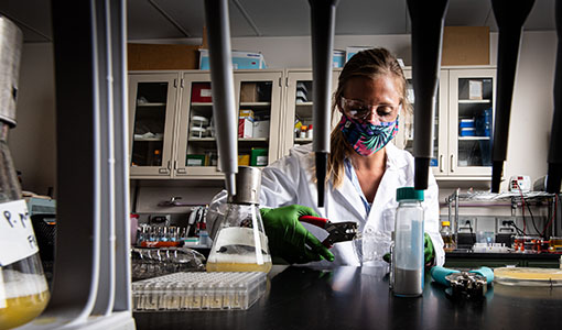 Continue reading about NREL Researchers Share $40 Million with Partners To Scale Next-Gen Biotechnologies