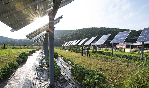 Continue reading about Can Revegetation Return PV Site Soil to Its Untouched Glory?