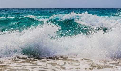 Continue reading about Desalination Dreams: Meet the Entrepreneurial Waves to Water CONCEPT Stage Winners