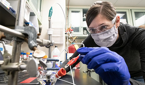 Continue reading about NREL Chemist Wins Award for Electron Bifurcation Research Article