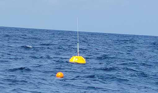 Continue reading about With Their Waverider Buoys, Researchers Collect Data on the Powerful Clean Energy Available in Our Oceans
