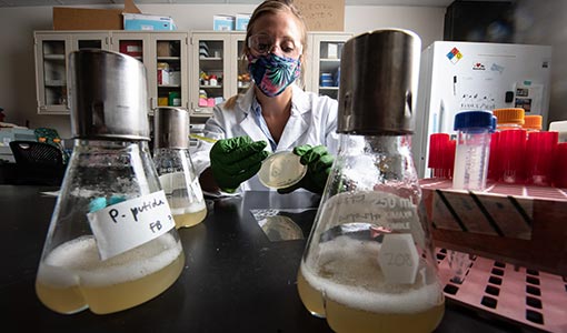 Continue reading about Researchers Engineer Microorganisms To Tackle PET Plastic Pollution