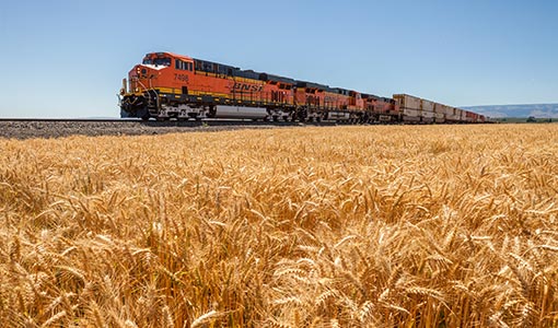 Continue reading about New Software Puts Rail Freight on Express Track to Net-Zero Emissions