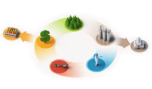 Continue reading about Three Bio-Based Innovations Edge Closer to Market With Private-Public Funding