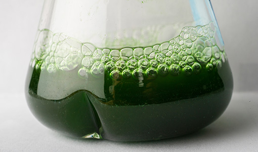 Continue reading about Research Team Advances Biological Alternative to Producing Common Petrochemical